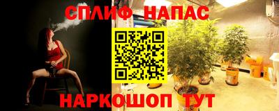 прущие грибы Пыть-Ях