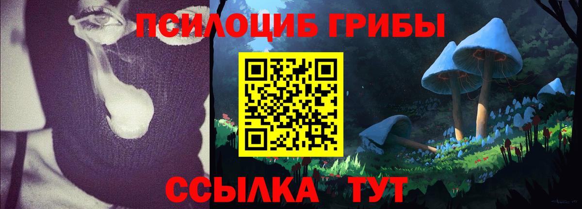 Саранск  Псилоцибиновые грибы Cubensis  Вход с VPN  Псилоцибиновые грибы GOLDEN TEACHER 